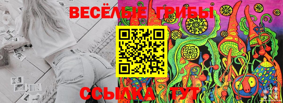 Псилоцибиновые грибы Magic Shrooms Волоколамск